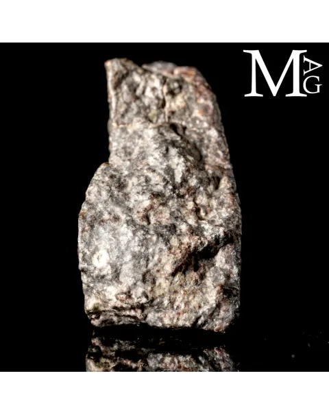 Meteorite NWA 869 - Condrite Ordinaria L3-6 del Nord-Ovest Africa