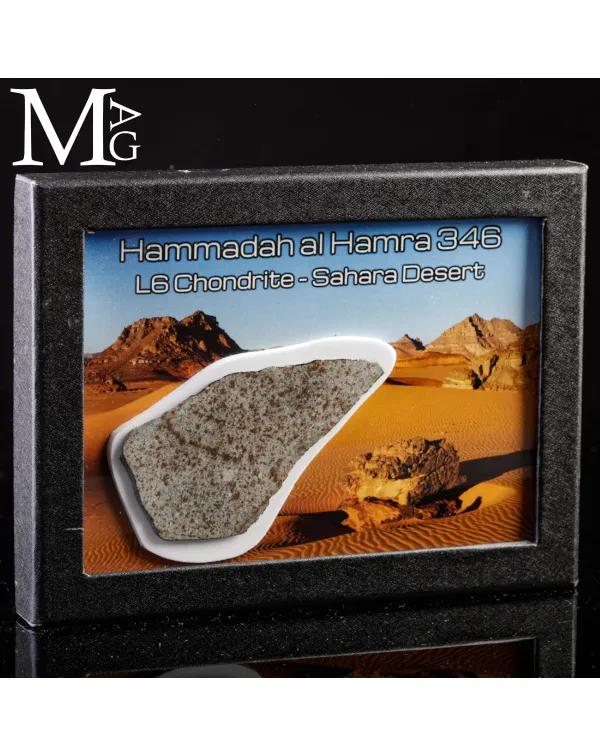 Meteorite Hammadah al Hamra 346 – Fetta di condr...