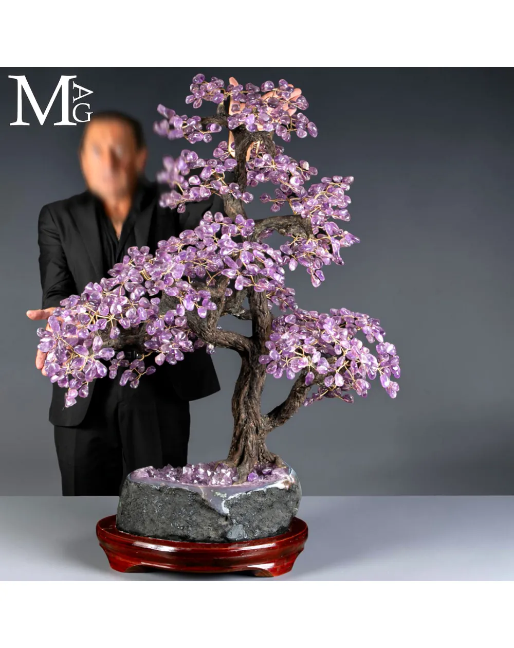 Albero Bonsai in Ametista su Drusa Naturale – Albero della Vita.
