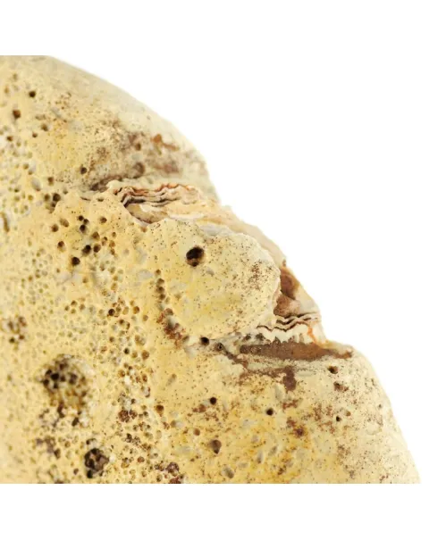 Geode Agata