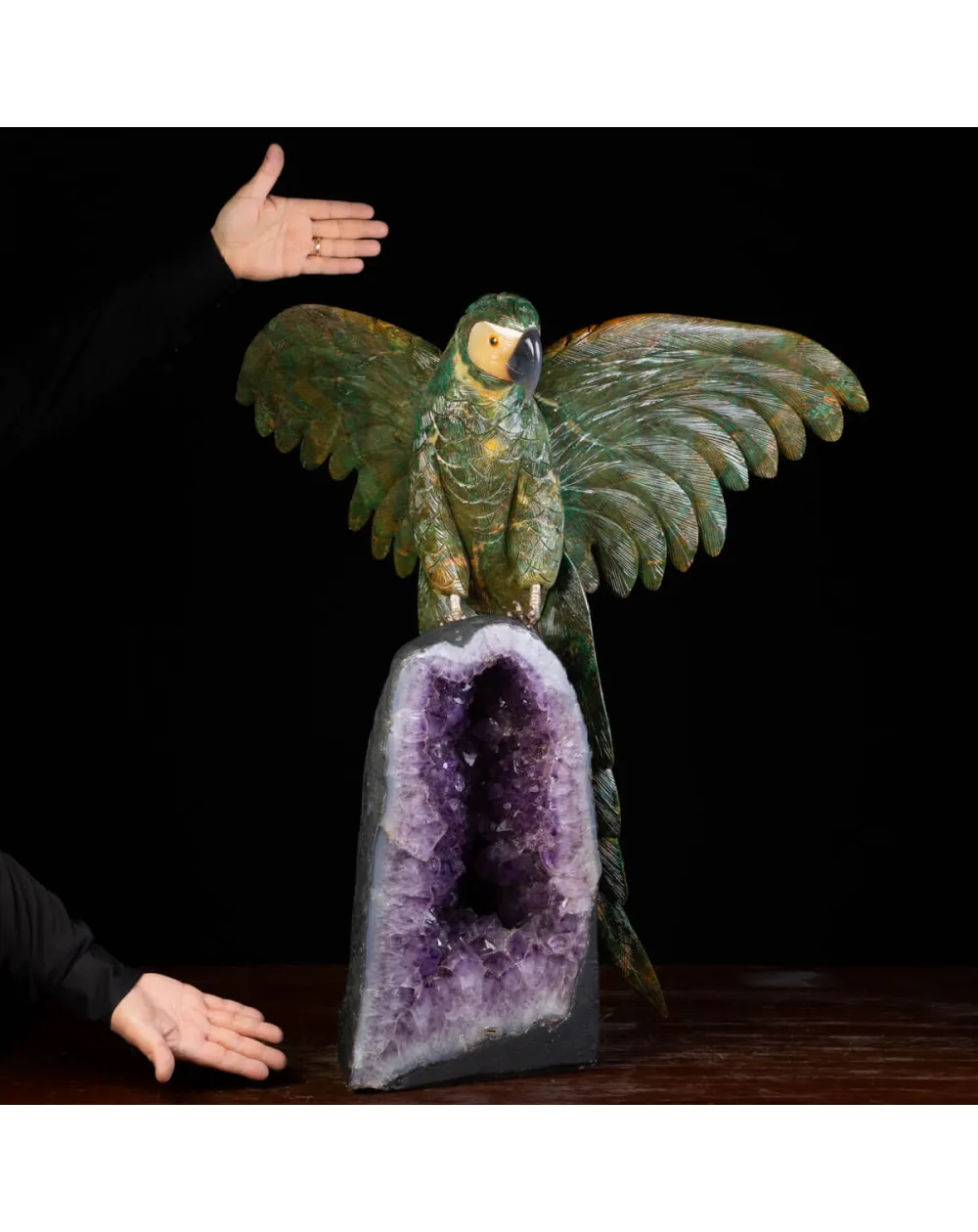 Bellissima Ara Verde su Drusa di Ametista.