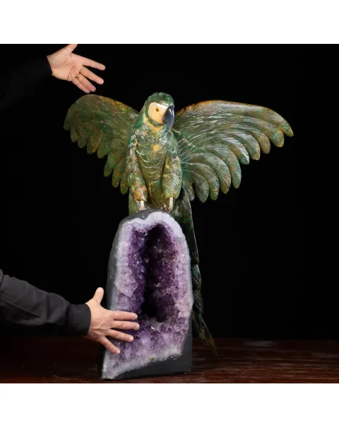 Bellissima Ara Verde su Drusa di Ametista.