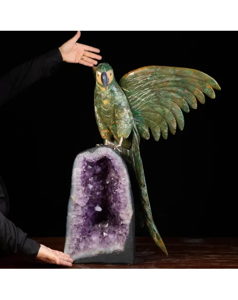 Bellissima Ara Verde su Drusa di Ametista.