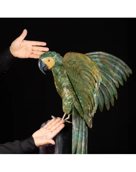 Bellissima Ara Verde su Drusa di Ametista.