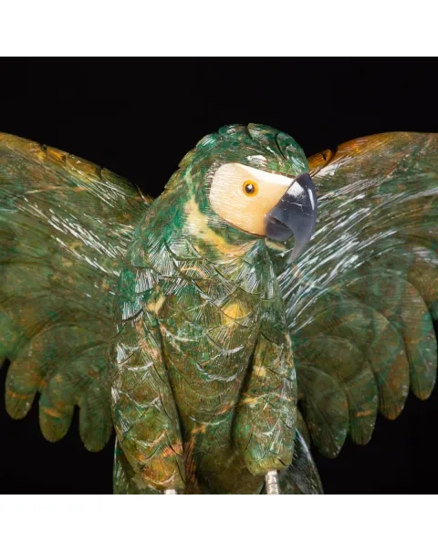 Bellissima Ara Verde su Drusa di Ametista.
