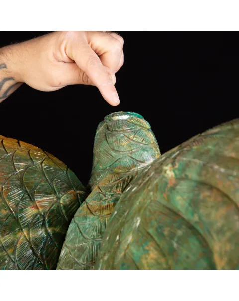 Bellissima Ara Verde su Drusa di Ametista.