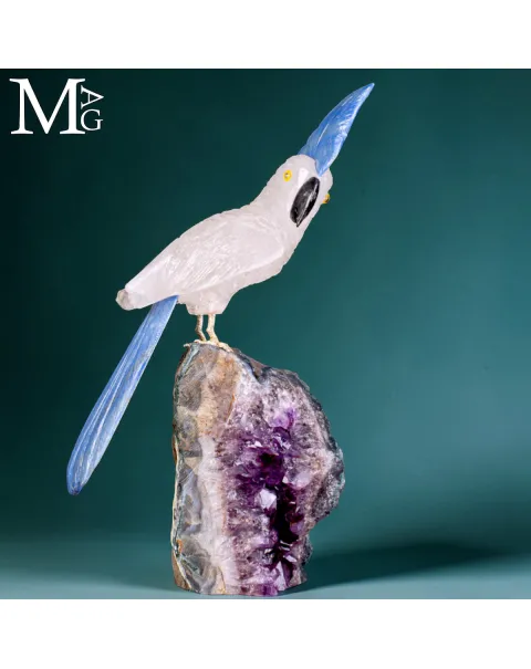 Elegante Cacatua in Quarzo Ialino e Quarzo Blu su Drusa di Ametista.