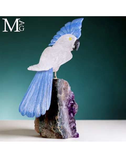 Elegante Cacatua in Quarzo Ialino e Quarzo Blu su Drusa di Ametista.