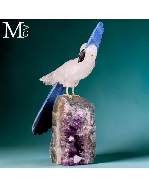 Elegante Cacatua in Quarzo Ialino e Quarzo Blu su Drusa di Ametista.
