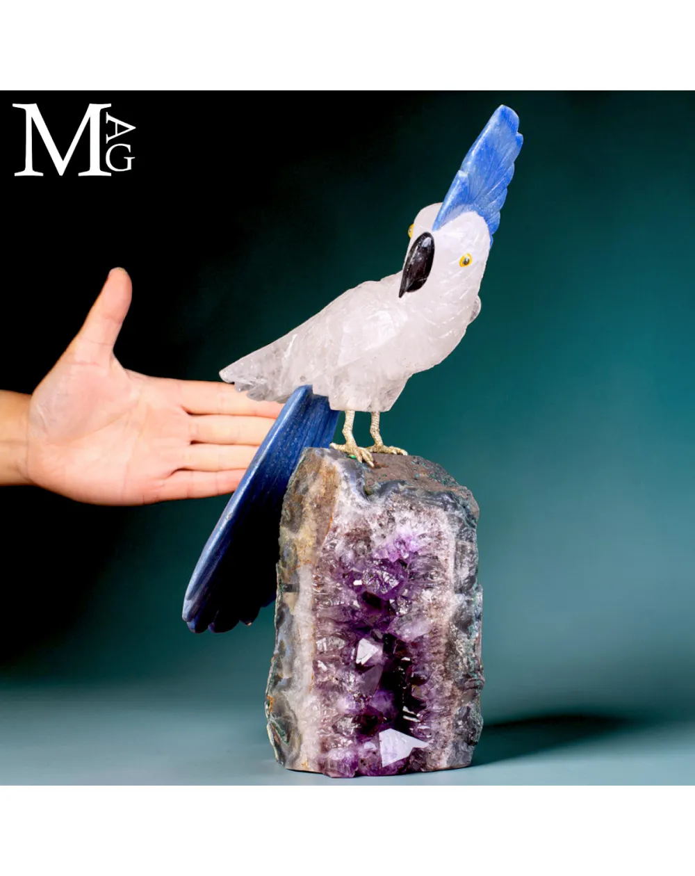 Elegante Cacatua in Quarzo Ialino e Quarzo Blu su Drusa di Ametista.