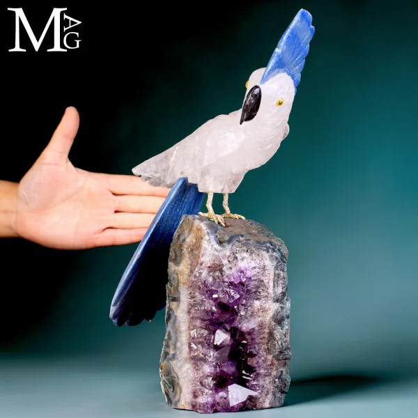 Elegante Cacatua in Quarzo Ialino e Quarzo Blu su Drusa di Ametista.