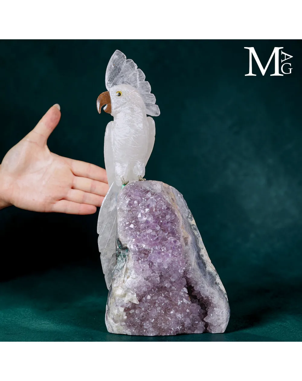 Scultura di Cacatua in Quarzo e Base di Drusa di Ametista.
