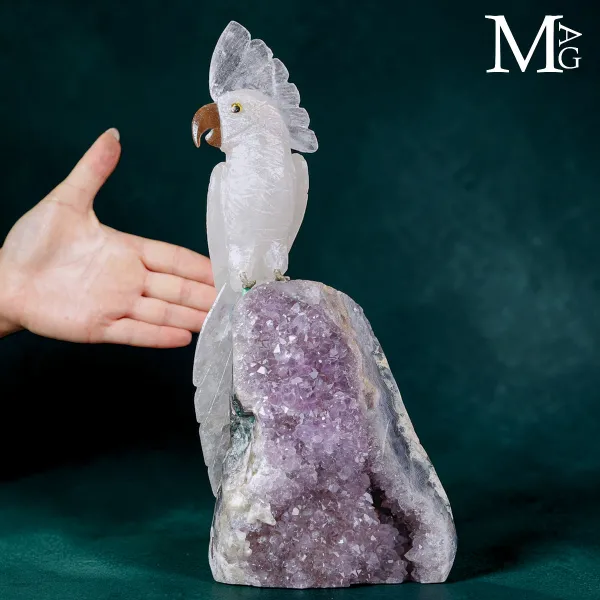 Scultura di Cacatua in Quarzo e Base di Drusa di Ametista.