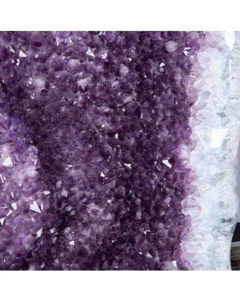 Geode di Ametista Unica nel suo Genere - Qualità Museale, una Meraviglia Naturale Rivelata.