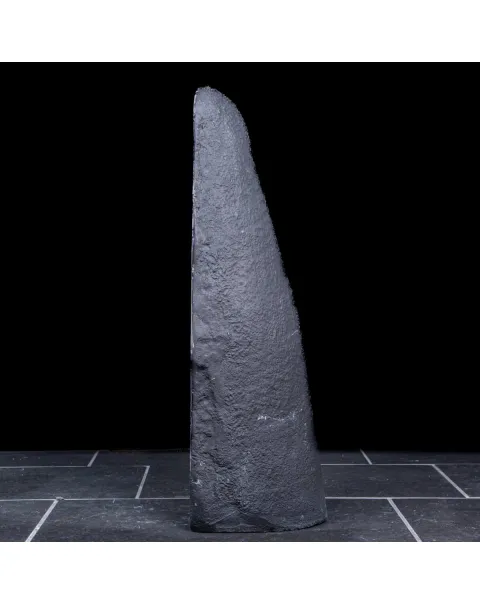 Geode di Ametista: Cristalli Viola Intenso.