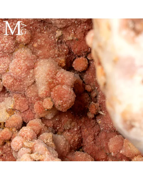 Raro Geode di Ametista Rosa Botrioidale - La Grotta delle Rose