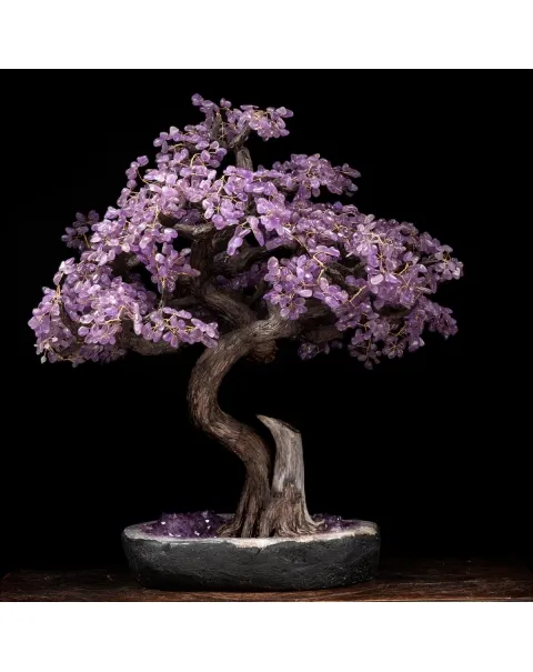 Albero Bonsai Ametista