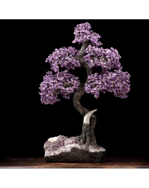 Albero Bonsai Ametista