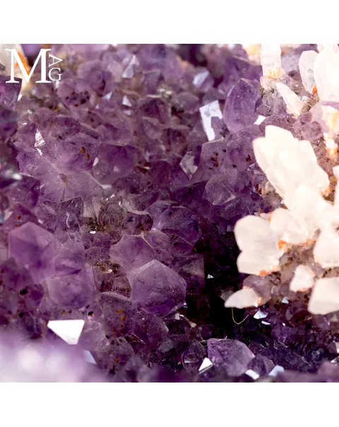 Drusa di Ametista dalla Forma Arcuata con Raffinata Cristallizzazione.