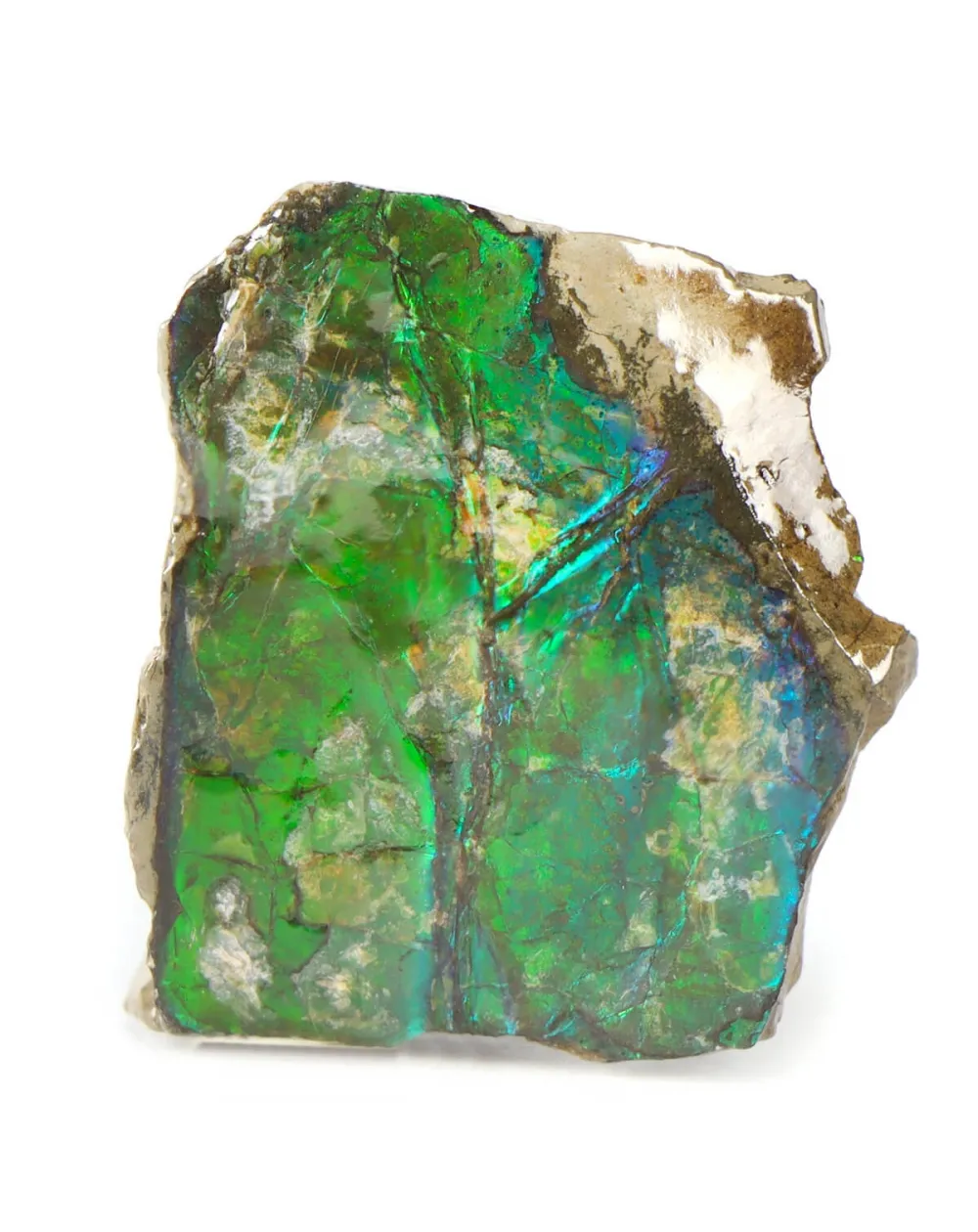 Ammolite