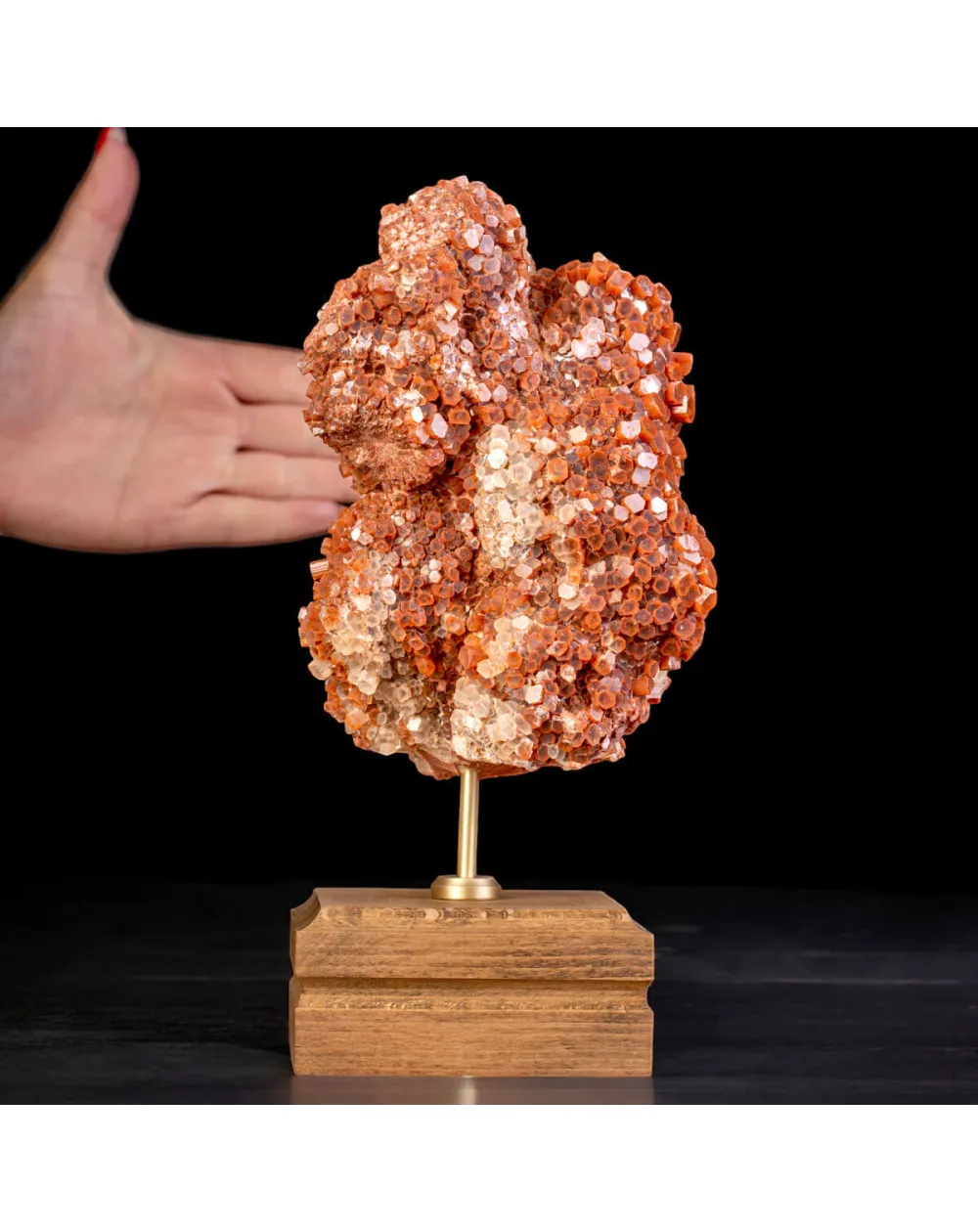 Aragonite Stellata del Marocco – Scultura Naturale su Base.