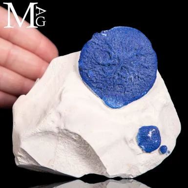 Azzurrite Sun su matrice di Caolinite – Australi...