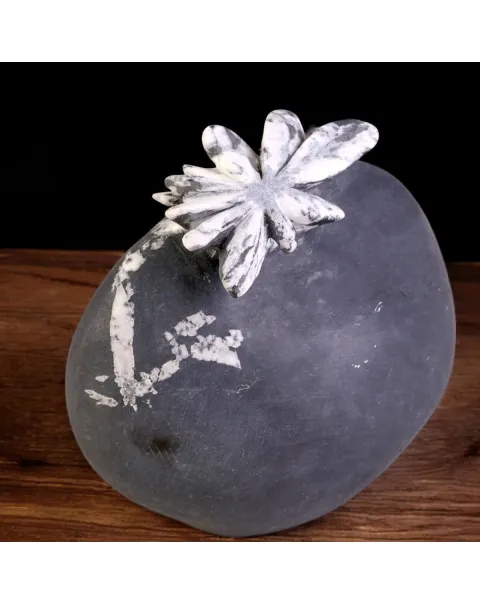 Chrysanthemum Stone – Formazione Minerale Naturale.
