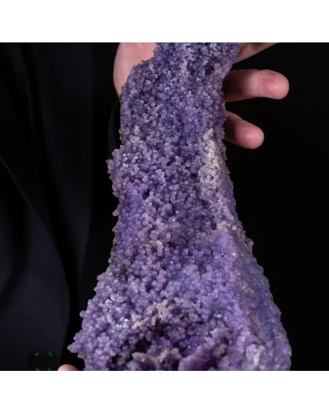 straordinaria formazione di Calcedonio Viola
