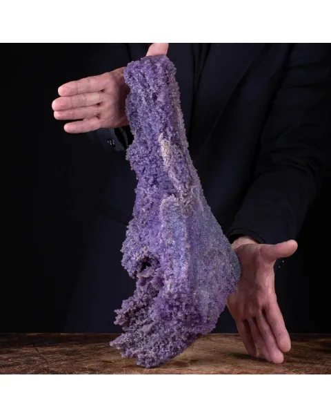 straordinaria formazione di Calcedonio Viola