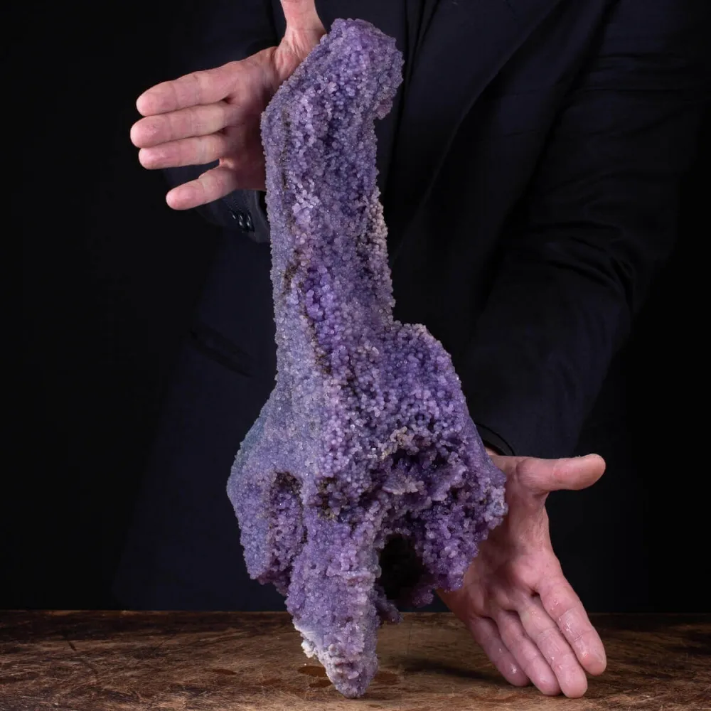 straordinaria formazione di Calcedonio Viola