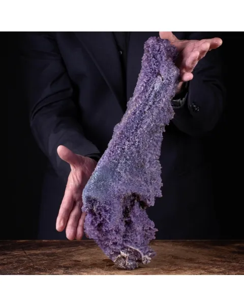 straordinaria formazione di Calcedonio Viola