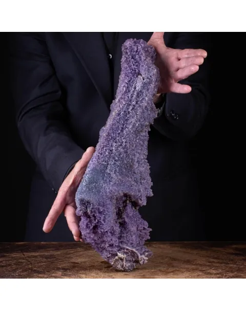 straordinaria formazione di Calcedonio Viola
