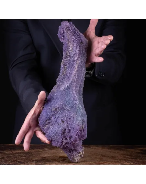 straordinaria formazione di Calcedonio Viola