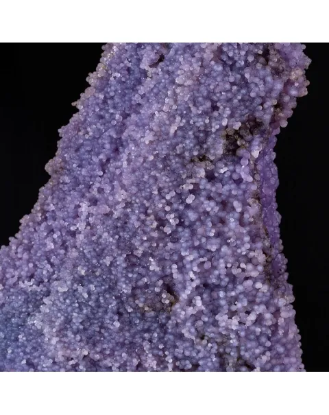straordinaria formazione di Calcedonio Viola