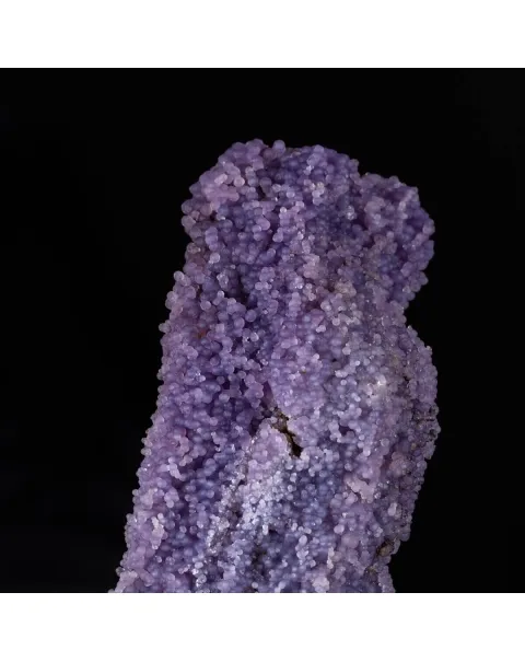 straordinaria formazione di Calcedonio Viola