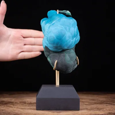 Malachite Botroidale e Crisocolla
