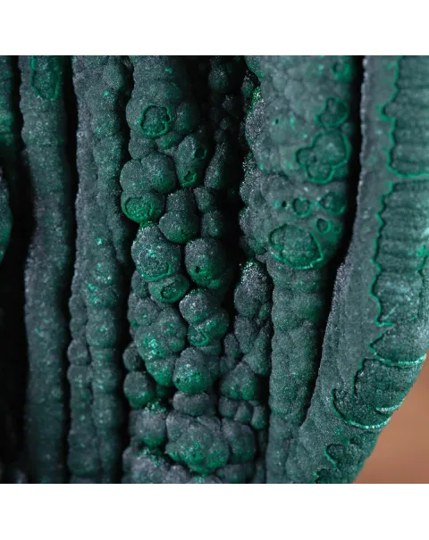 Eccezionale Malachite Botroidale con Crescita a Stalattiti.