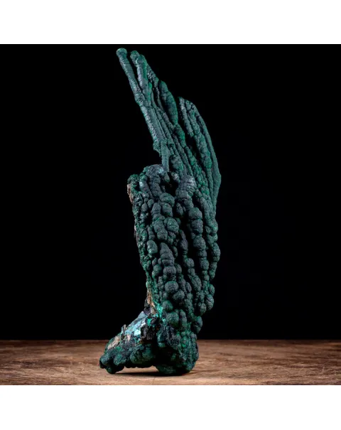 Eccezionale Malachite Botroidale con Crescita a Stalattiti.