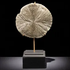 Pyrite Sun dell’Illinois. (3)