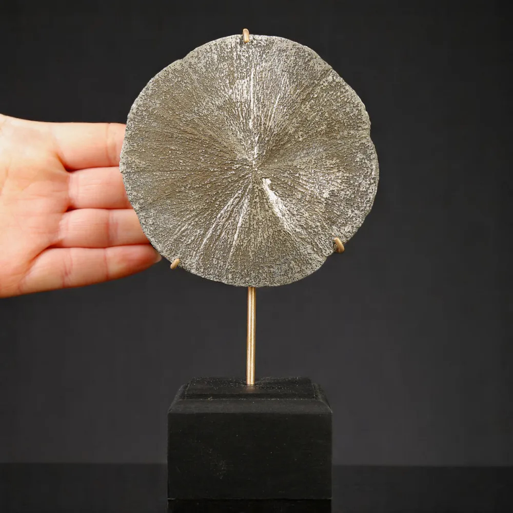 Pirite Sun – Formazione naturale su base decorativa.