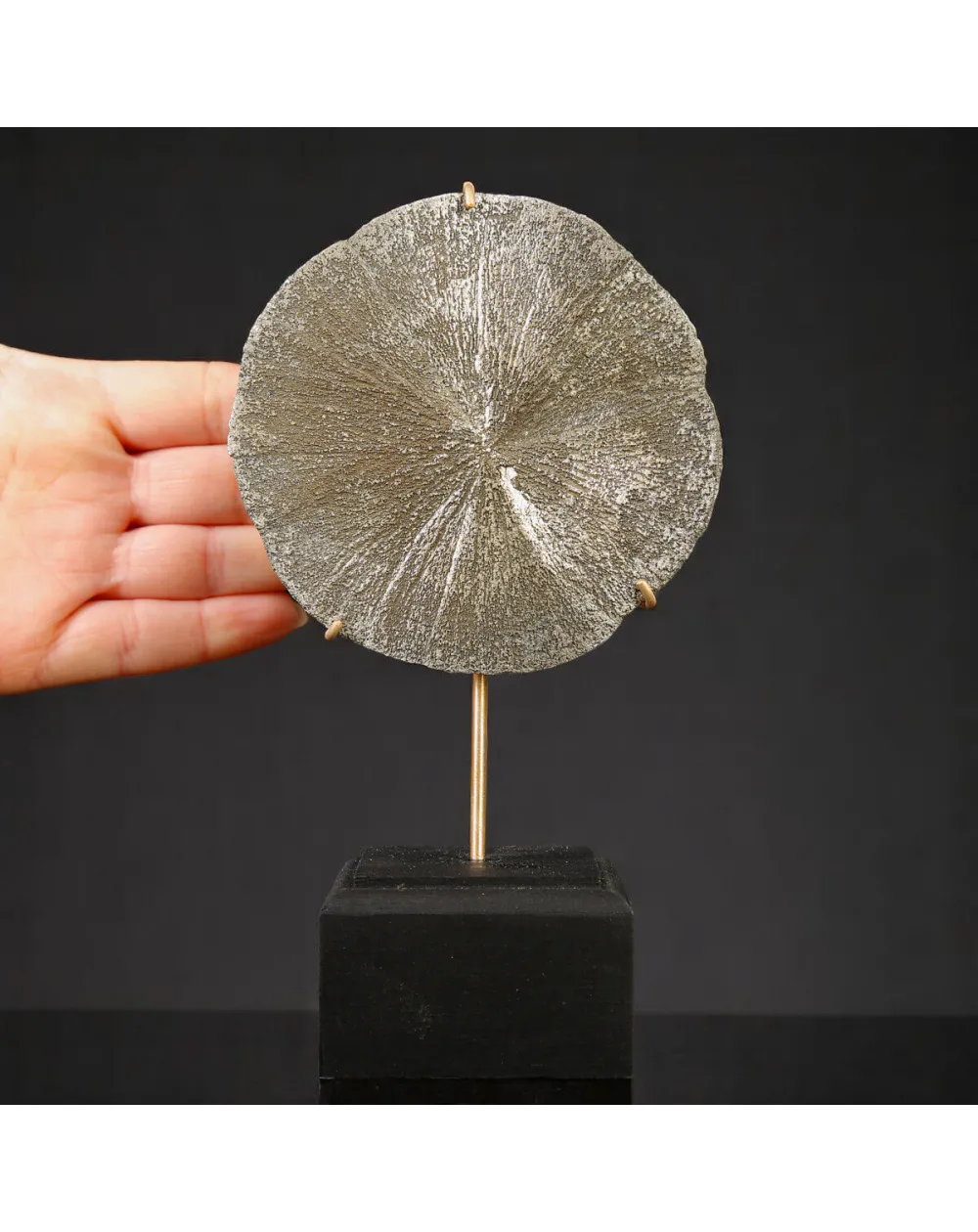 Pirite Sun – Formazione naturale su base decorativa.