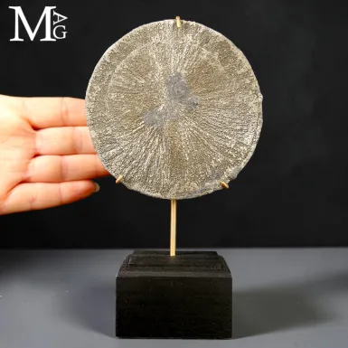 Pirite Sun – Concrezione Radiale di Pirite – S...