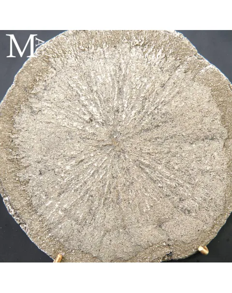 Pirite Sun – Formazione Discoidale di Pirite – Sparta, Illinois, USA.