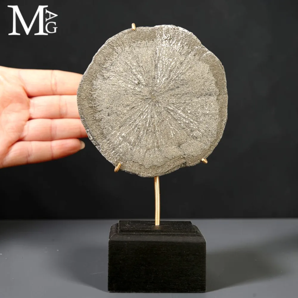 Pirite Sun – Formazione Discoidale di Pirite – Sparta, Illinois, USA.