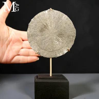 Pirite Sun – Aggregato Radiale di Pirite Illinoi...