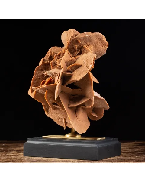 Rosa del Deserto