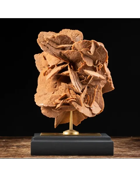 Rosa del Deserto