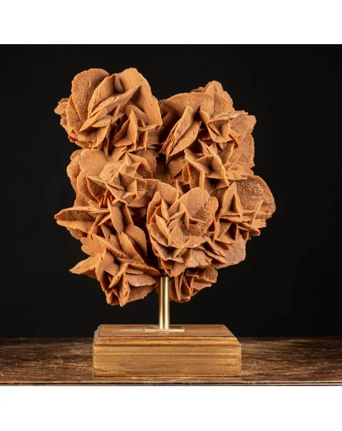 Rosa del Deserto