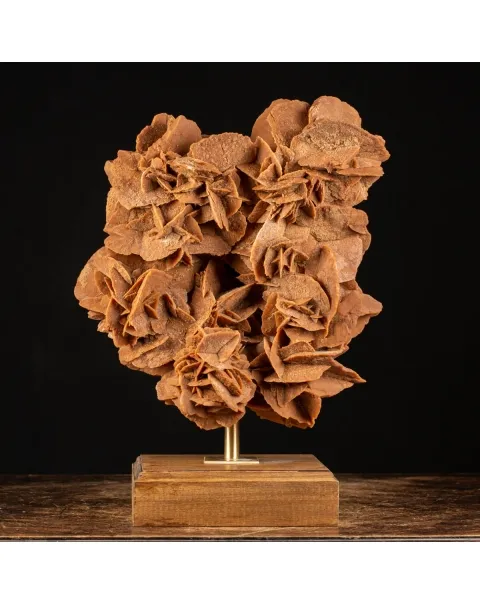 Rosa del Deserto