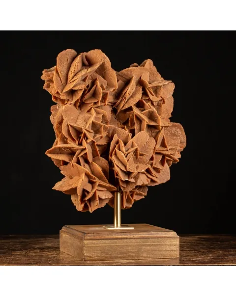 Rosa del Deserto